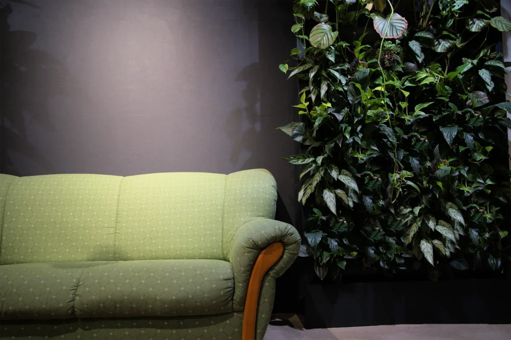 a couch in front of a planted wall